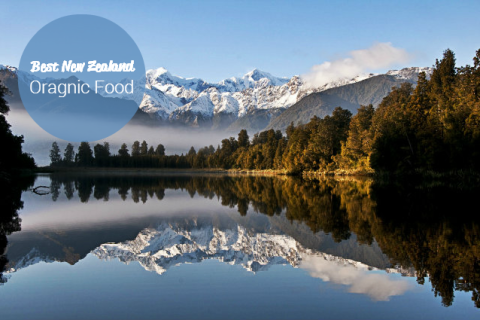 Lake matheson in the south island of new zealand