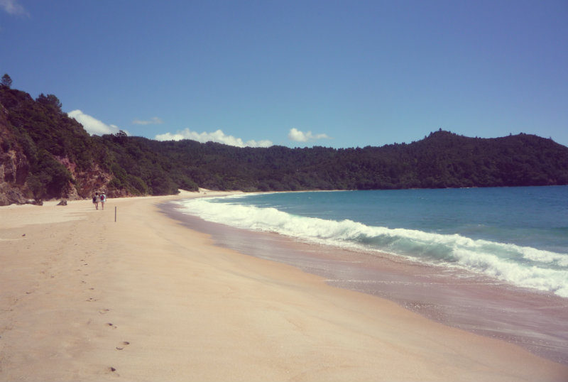 One of New Zealand's top beaches - New Chums in Coromandel